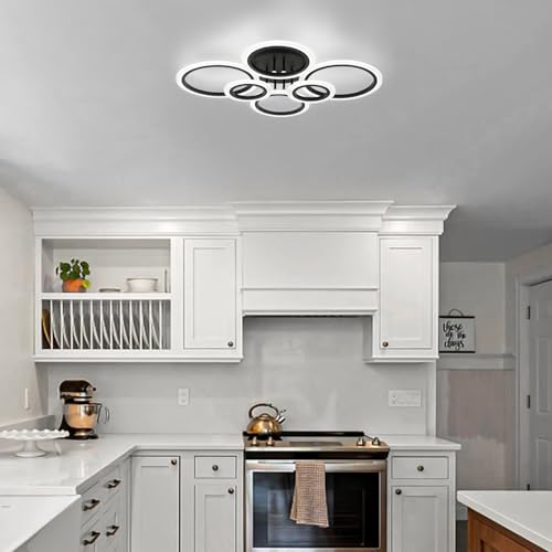 Modern LED Ceiling Light