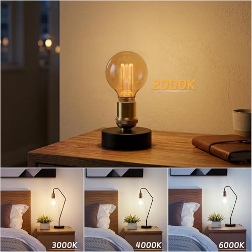 Dimmable Edison Bulb E26 Vintage Round LED Light LowLumen Amber G95