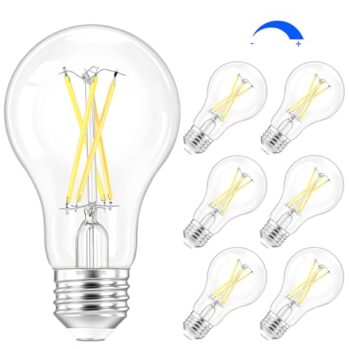 A19 Vintage LED Edison Light Bulb (6 Count)