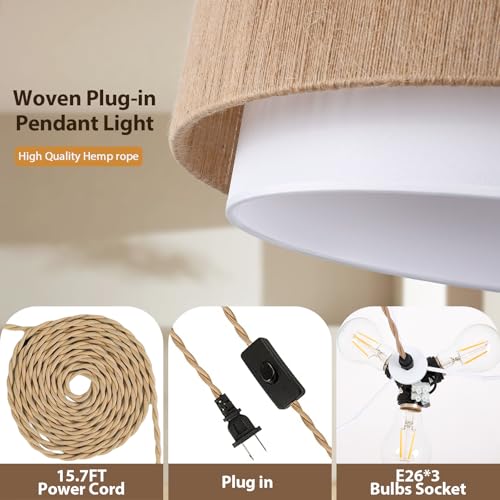 Plug in Pendant Light
