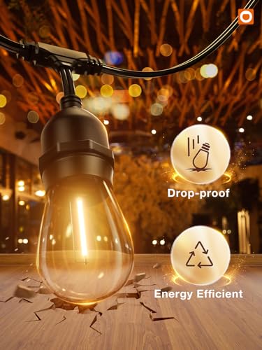 LED Outdoor String Lights 48FT with 25 Edison Vintage Bulbs ETL (48 Foot)