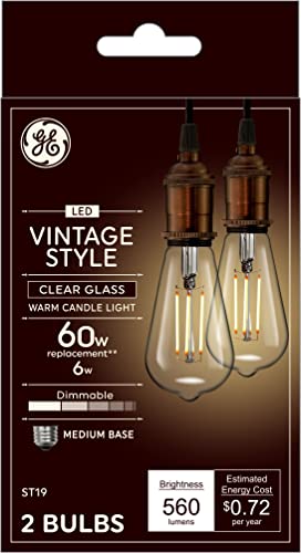 Vintage Style LED Light Bulbs (2 Count)