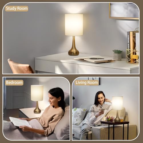 Set of 2 Bedside Touch Lamps (2 Count)