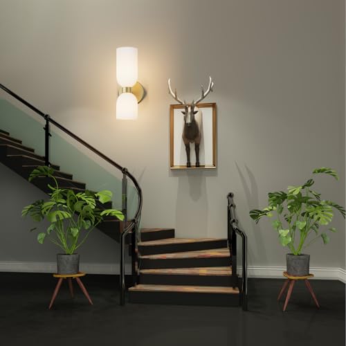 Gold Wall Sconces Set of Two (2 Count)