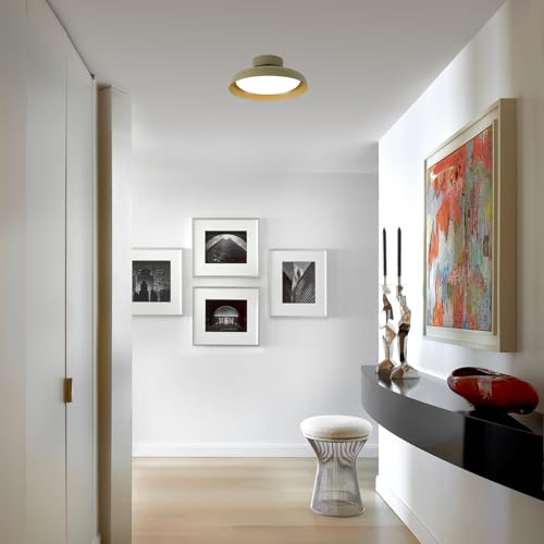 Modern LED Ceiling Light