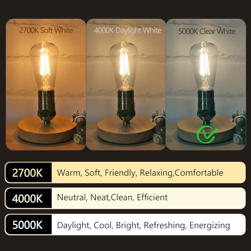 4 Pack Vintage LED Edison Bulbs (4 Count)