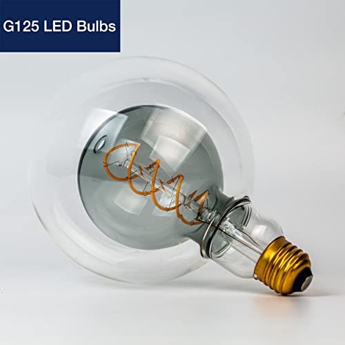 G125 Decorative Large Globe LED Bulb