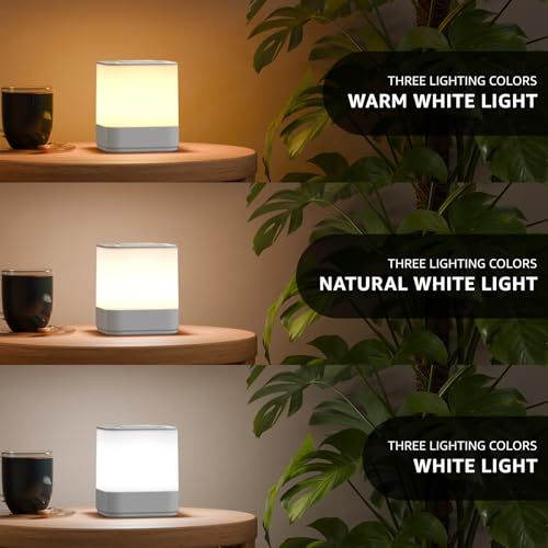 2 Pack Rechargeable Small Night Light Touch Dimmable Cordless Lamp
