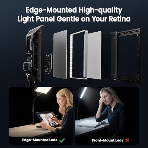 2 Packs LED Video Key Light (2 Count)