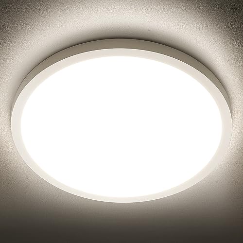 LED Flush Mount Ceiling Light 4000K