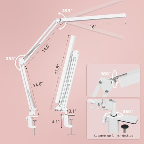 LED Desk Lamp