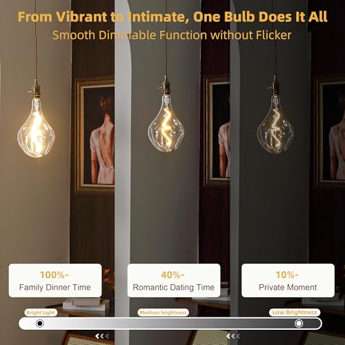 A165 Oversized Vintage LED Irregular Edison Bulb