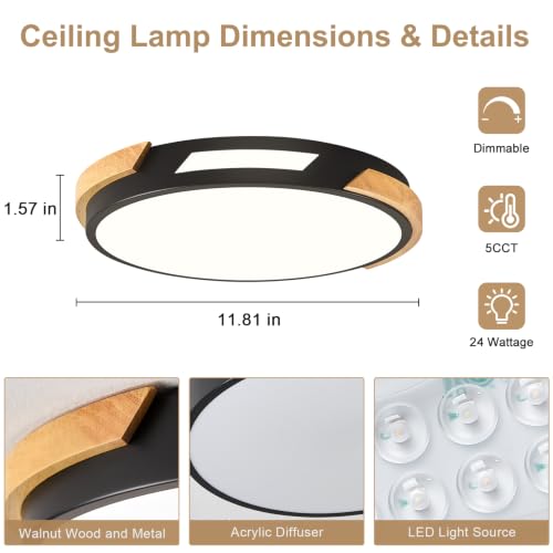 Modern LED Ceiling Light