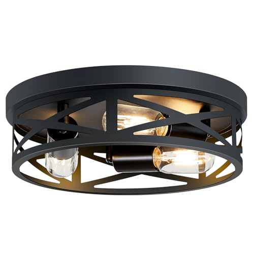 Flush Mount Ceiling Light Fixture