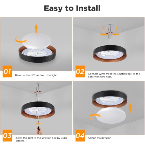 Flush Mount Ceiling Light (Matte Black)