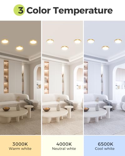1Pack Dimmable Flush Mount Ceiling Light Fixture Golden