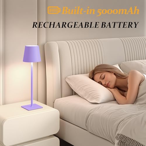 2 Pack Cordless Table Lamps