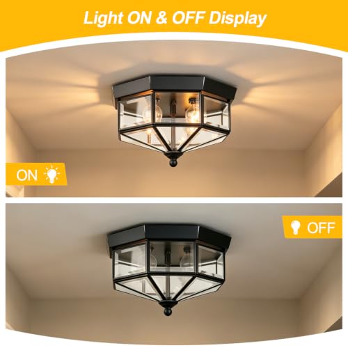 Flush Mount Outdoor Ceiling Light Fixture