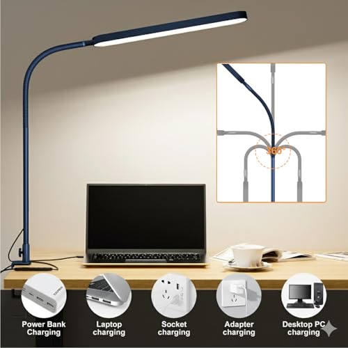 LED Desk Lamp