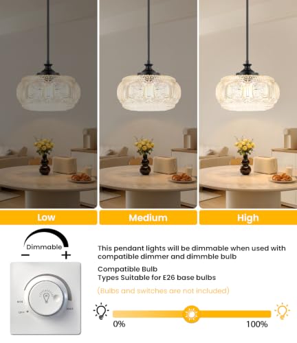 Semi Flush Mount Ceiling Light