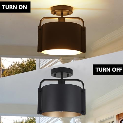 Flush Mount Ceiling Light