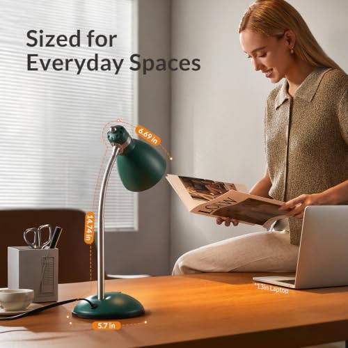 Metal Desk Lamp