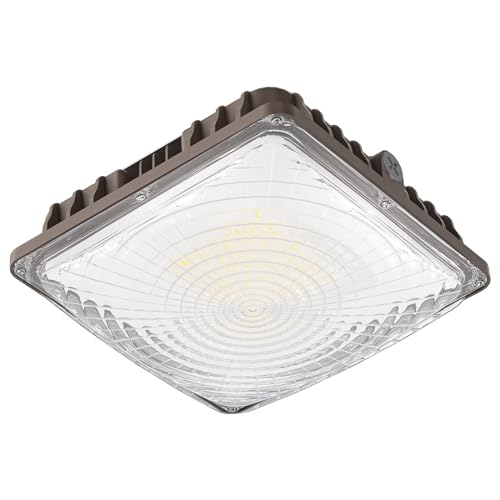40W LED Canopy Light (40W 1PACK)