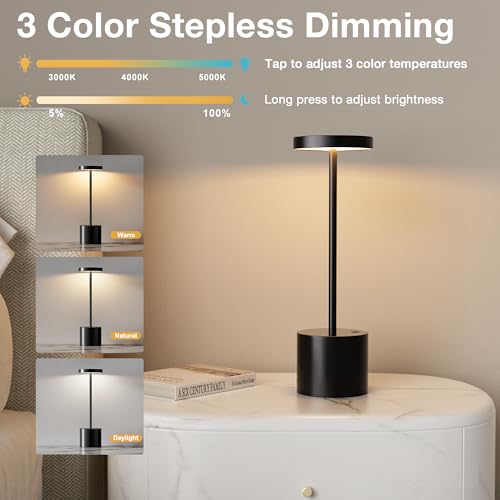 Cordless Rechargeable Table Lamp (2 Count)