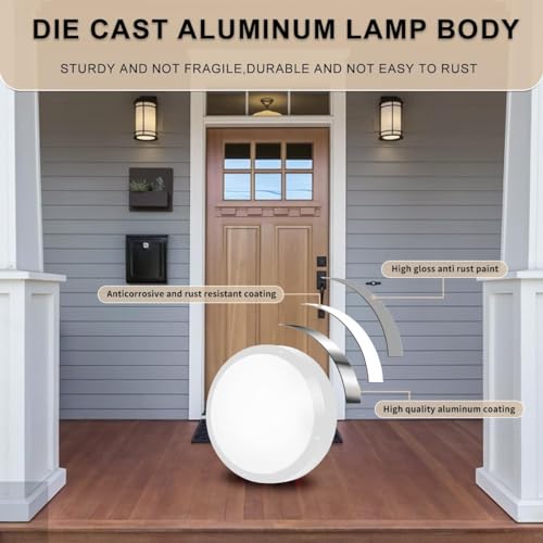 Flush Mount Ceiling Light