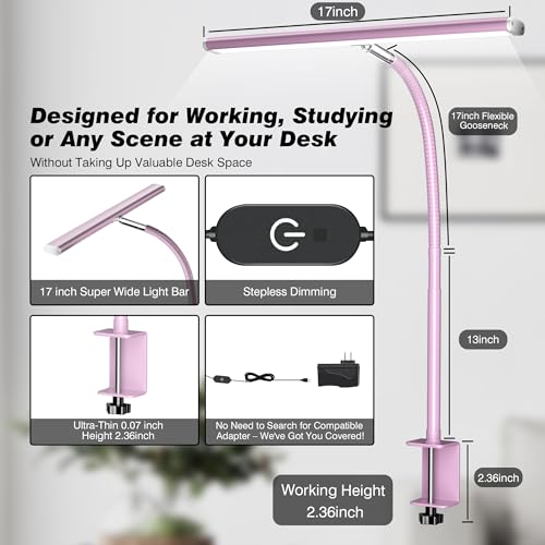 LED Desk Lamp with Clamp