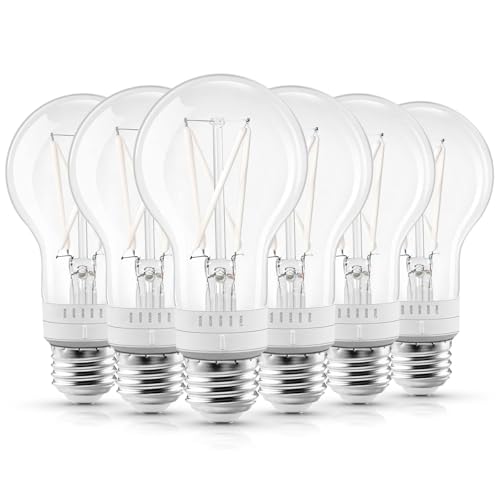 Vintage A19 LED Light Bulb 60 Watt Equivalent (6 Count)
