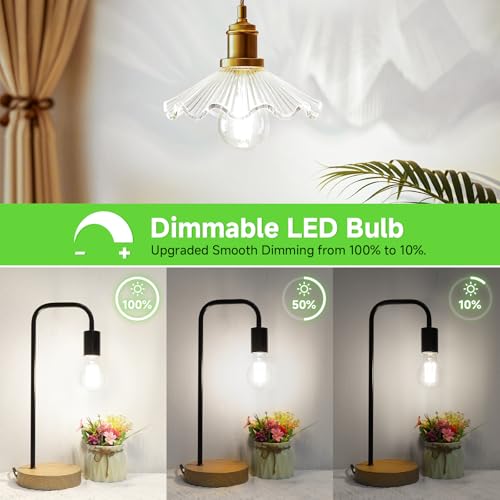 A19 Vintage LED Edison Bulbs Dimmable 60W Equivalent High Brightness (4 Count)