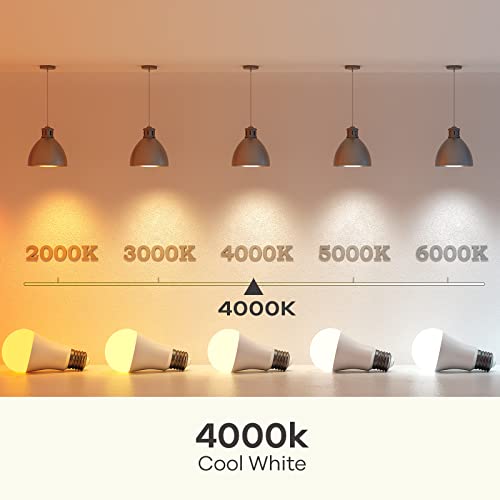A19 LED Light Bulbs (6 Count)
