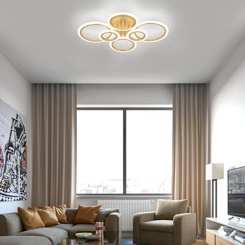 Modern LED Ceiling Light