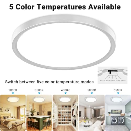 2 Pack LED Flush Mount Ceiling Light (2 Count)