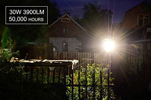 30W LED Flood Light Outdoor (2 Count)