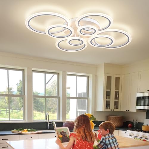 Modern LED Ceiling Light
