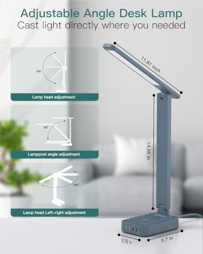 LED Desk Lamp
