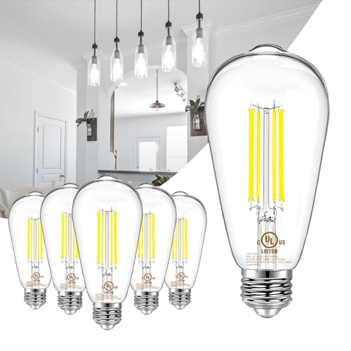 6 Pack Vintage LED Edison Bulbs (6 Count)