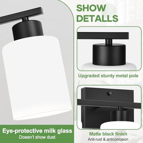 3 Light Bathroom Light Fixtures
