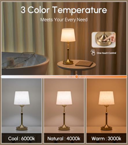 2 Pack Rechargeable Cordless Table Lamp (2 Count)