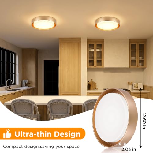 2 Pack Flush Mount Ceiling Light (Gold)