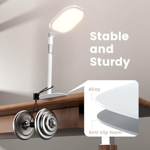 Video Conference Lighting for Zoom with Stand