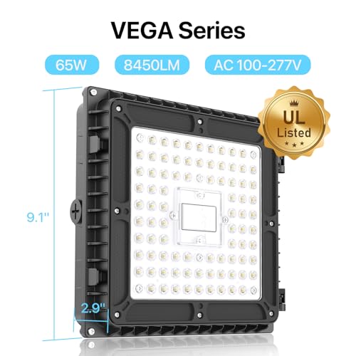 LED Canopy Light 65W