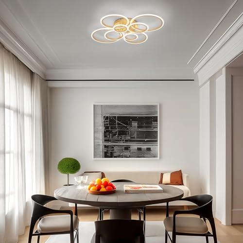 Modern LED Ceiling Light