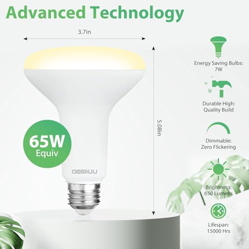 12 Pack BR30 LED Recessed Light Bulb (12 Count)