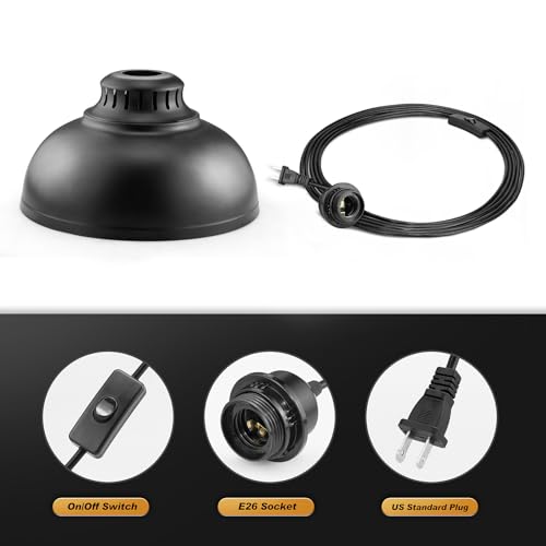 Plug in Pendant Light