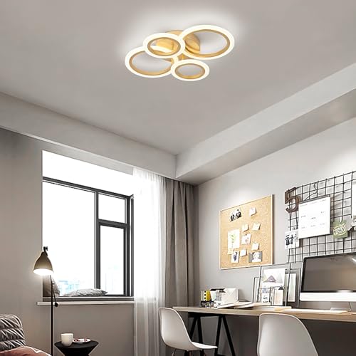 Modern LED Ceiling Light