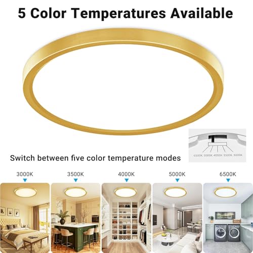 2 Pack LED Flush Mount Ceiling Light
