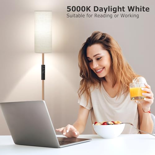 64'' Floor Lamps for Living Room with Remote Control and Stepless Dimmable Colors Temperature & Brightness